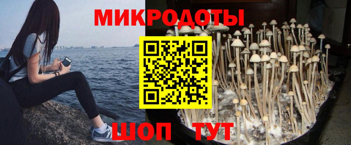 Новый Уренгой  Галлюциногенные грибы Cubensis  Вход с VPN 